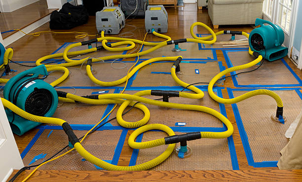Professional Flood Damage Restoration technician working in Winesburg, OH
